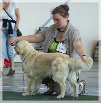 Dora (Sans Affixe) - Très bon (non classée) en classe Ouverte