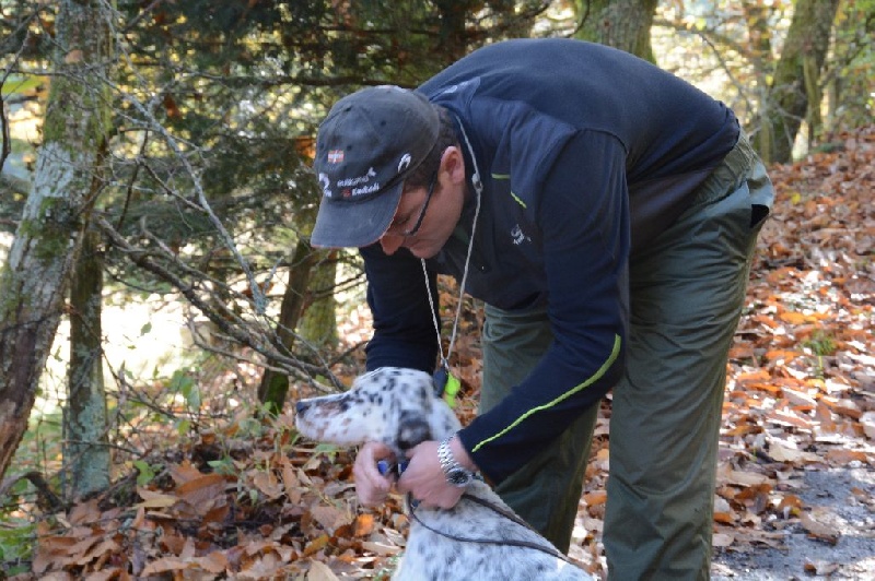 TR. CH. Diane des sagnes des mille sources - CACT