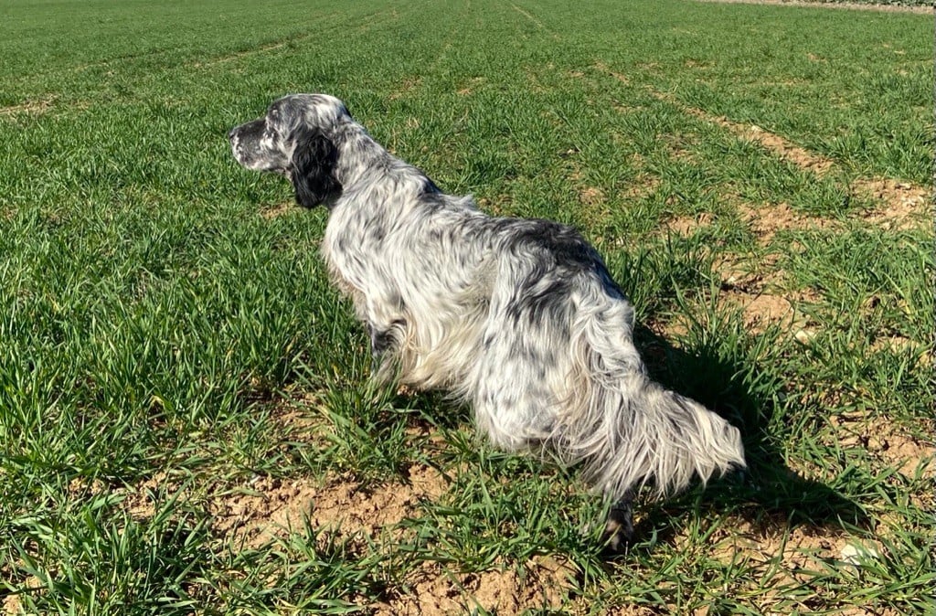 TR. Orio des sagnes des mille sources - 2 ème Excellent