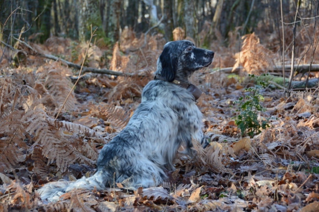 TR. Orio des sagnes des mille sources - CACT