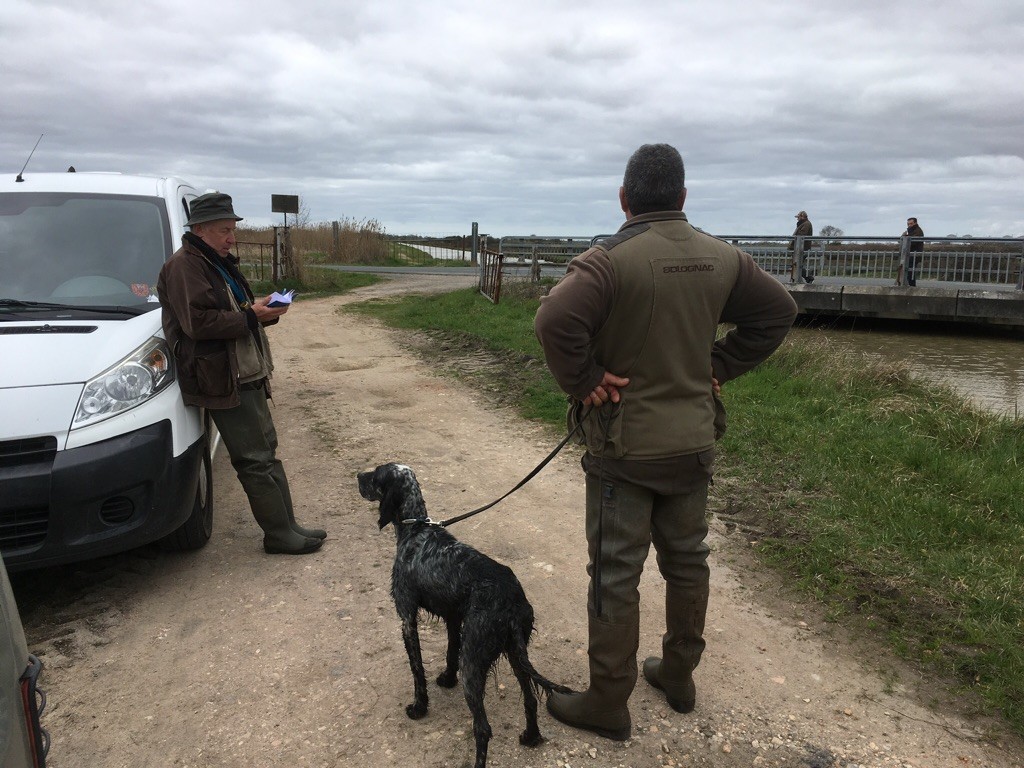 TR. Laya des sagnes des mille sources - 1 er Excellent