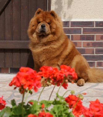 Publication : du Yun Tche