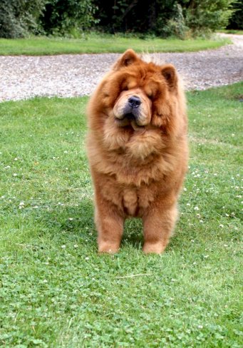 Publication : du Yun Tche