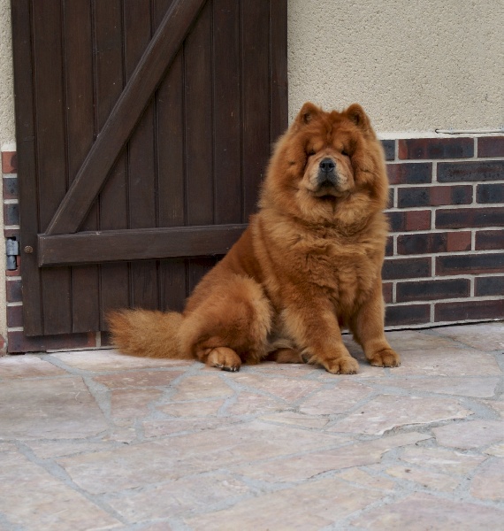 Publication : du Yun Tche