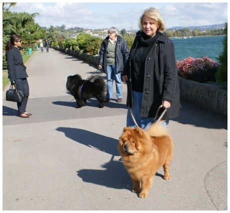 CH. du domaine des saphirs Ai-chang - 2Exc-Rés CAC- Rés CACIB