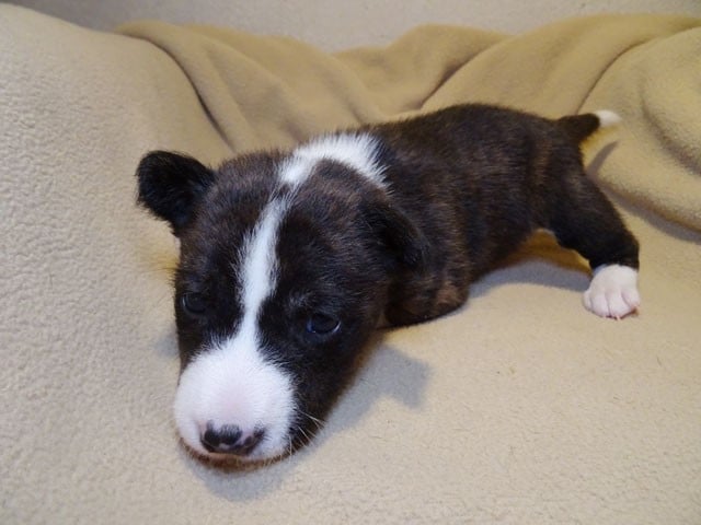 Arounaa-Sun El Sueno Del Amigo