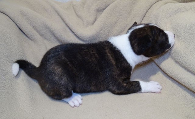 Arounaa-Sun El Sueno Del Amigo