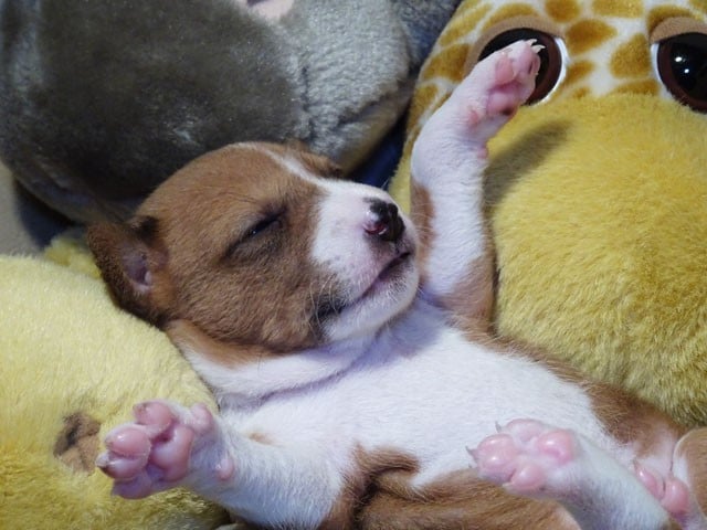 Ayilaa-Sun El Sueno Del Amigo