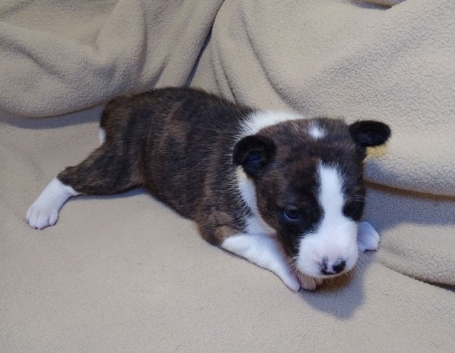 Avukaa-Sun El Sueno Del Amigo