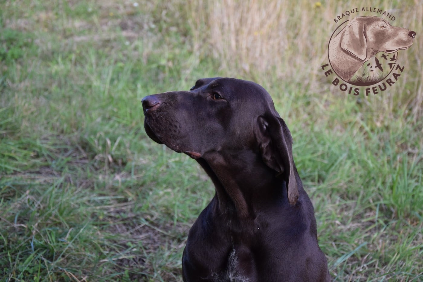 Publication : du Bois Feuraz Auteur : LE BOIS FEURAZ