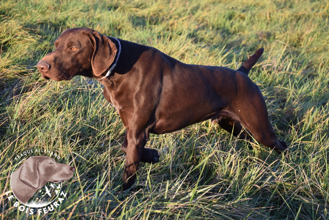 TR. UMAR du Bois Feuraz