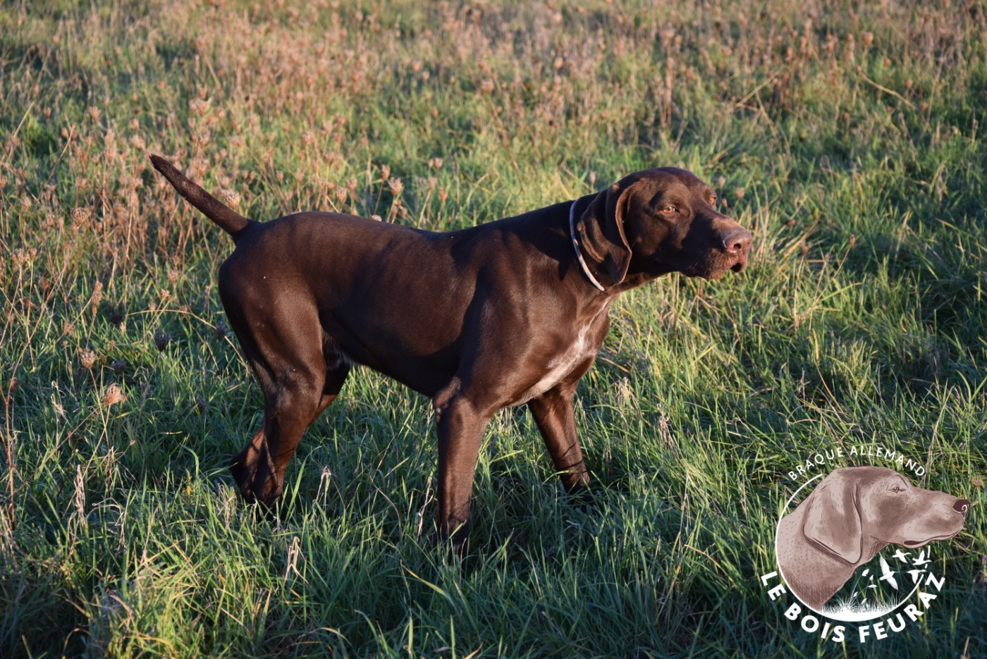 TR. UMAR du Bois Feuraz