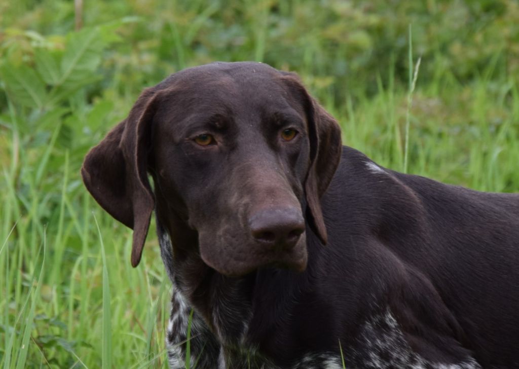 Publication : Du Clos Saint Emilion