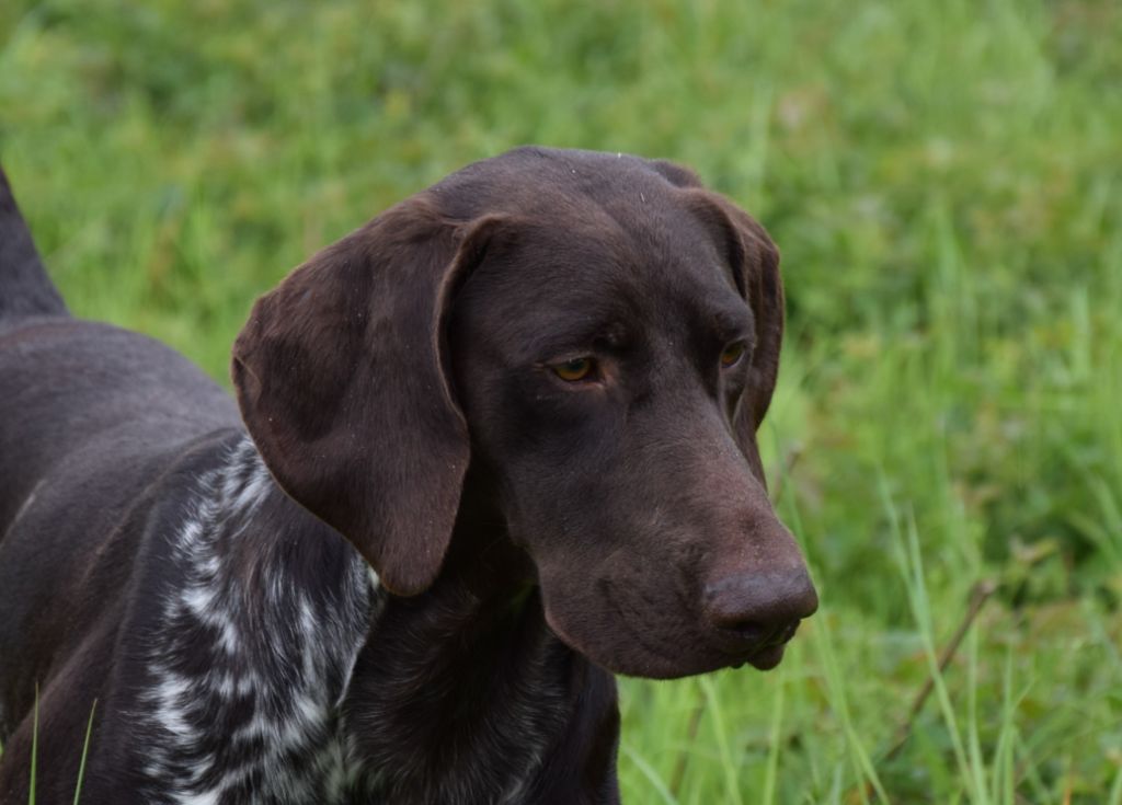 Publication : Du Clos Saint Emilion