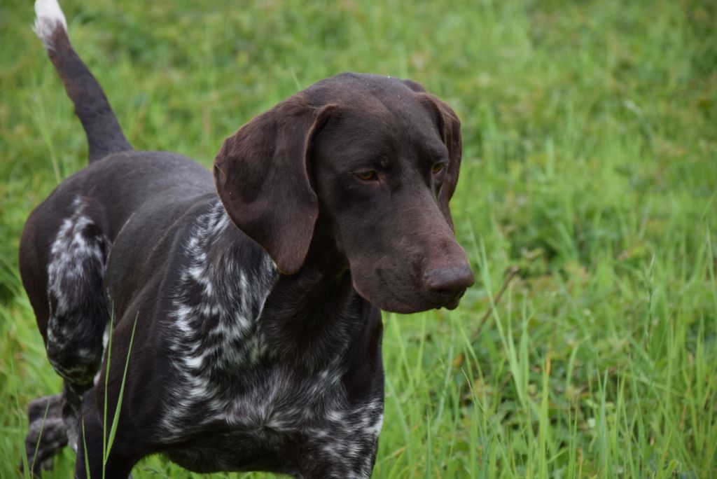 Publication : Du Clos Saint Emilion