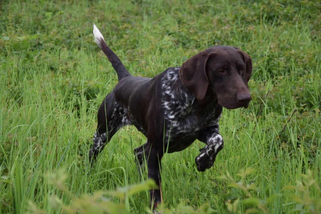 Publication : Du Clos Saint Emilion