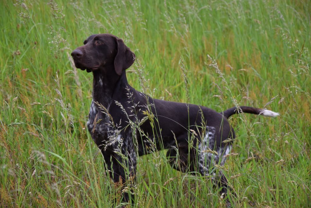 Publication : Du Clos Saint Emilion