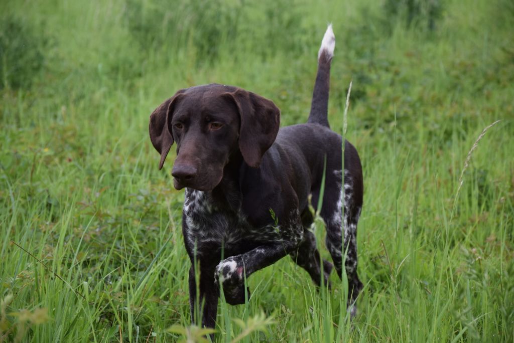 Publication : Du Clos Saint Emilion