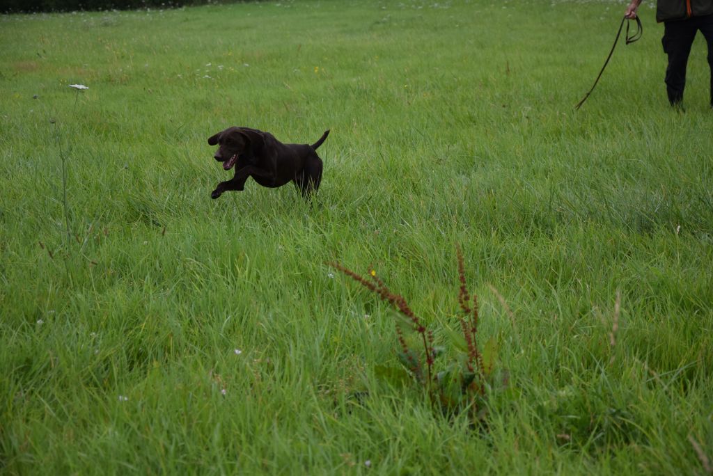 Ronit du Bois Feuraz - TAN