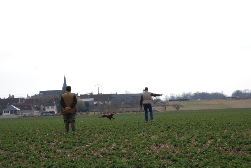 TR. CH. Deesse du Bois Feuraz - 2ème sur 39 chiens