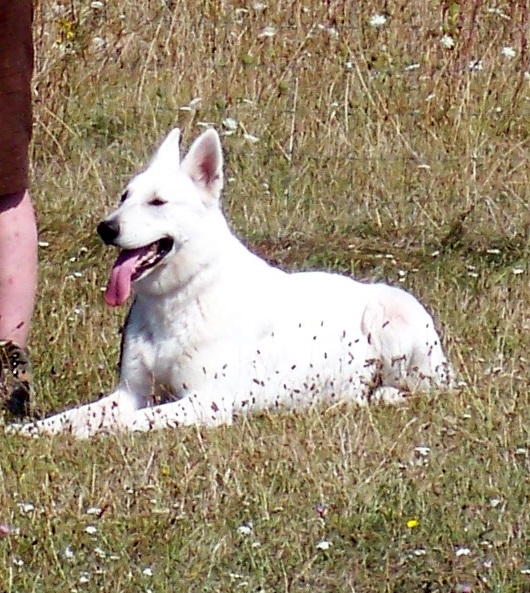 Vany des gardiens du vieux manoir