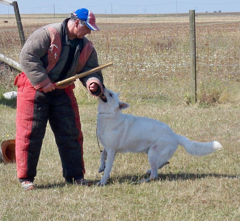 Vany des gardiens du vieux manoir