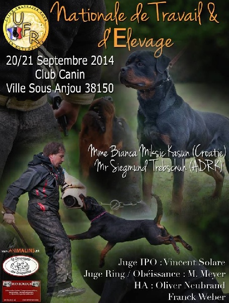 Freya du champ des louves - RCI I (IPO I)