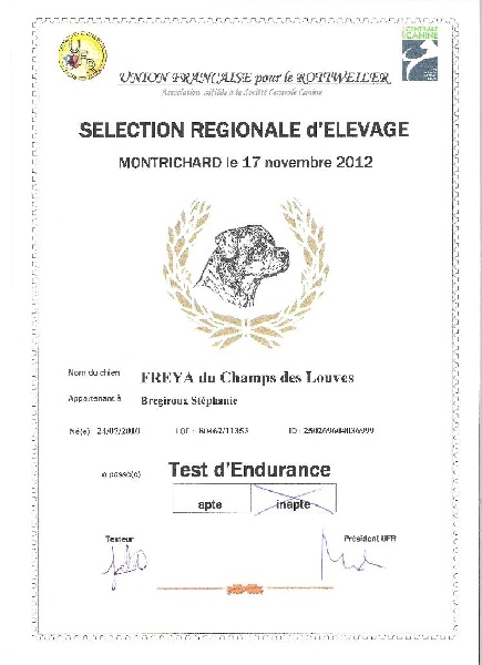 Freya du champ des louves - AD UFR