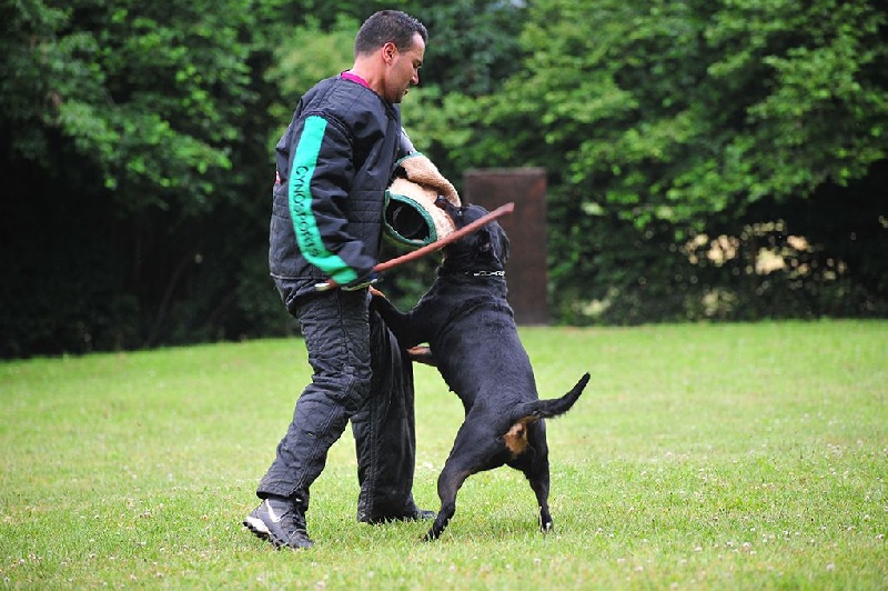 Freya du champ des louves - ZTP UFR