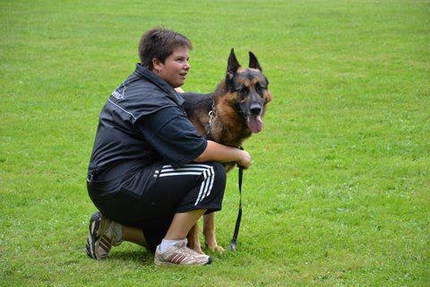 Dragon de la Bête des Vosges - Obeissance 2