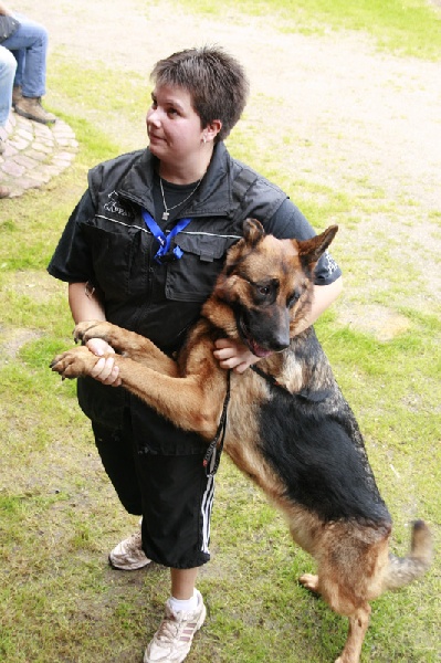 Derry Del gobbo - obeissance1