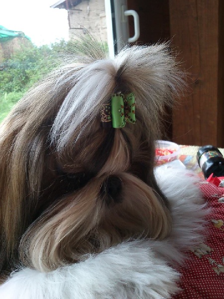 Hatomic'boy du lac de Cupidon