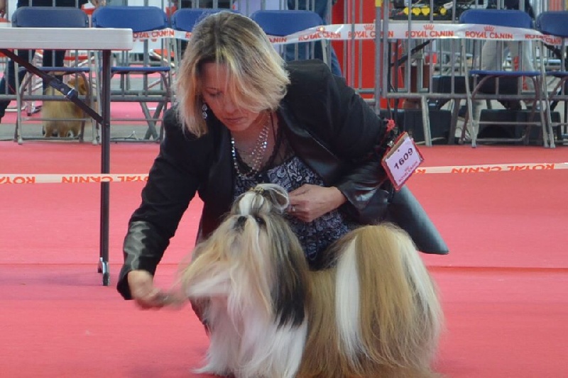 CH. Hatchi du lac de Cupidon - 2 im ex