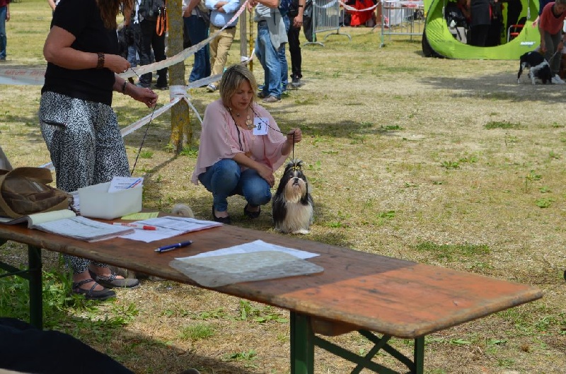 L'ange gabriella du lac de Cupidon - 1 EX MEILLEUR JEUNE