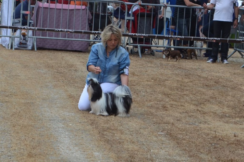L'ange gabriella du lac de Cupidon - 1 EX MEILLEUR JEUNE
