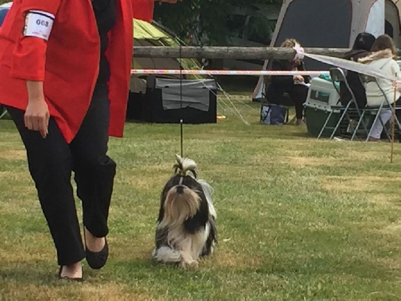 L'ange gabriella du lac de Cupidon - 1 ex classe jeune meilleur sexe opposé