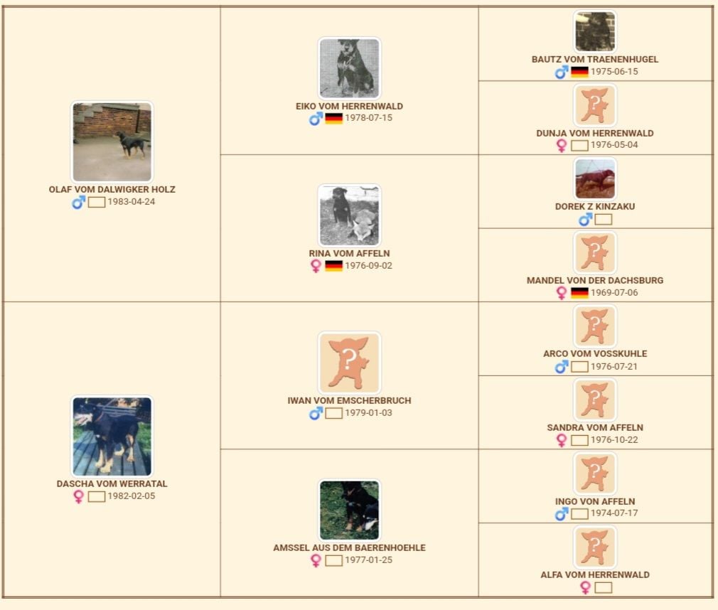 Vikings de las Sesteriades