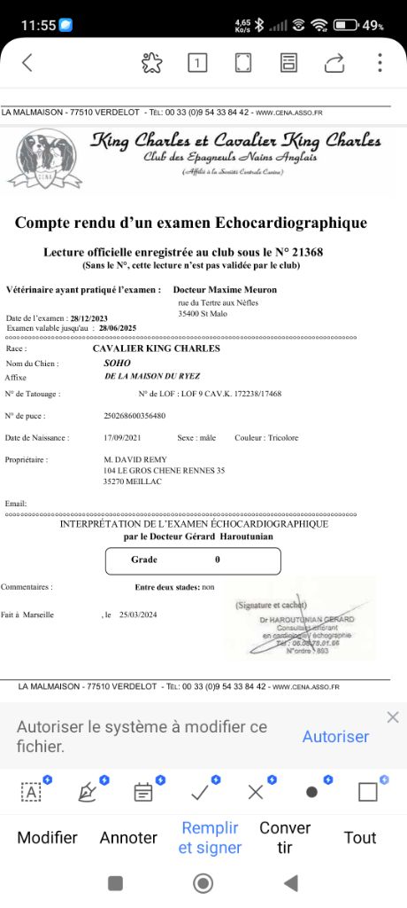 Publication : du domaine des quatre pattes