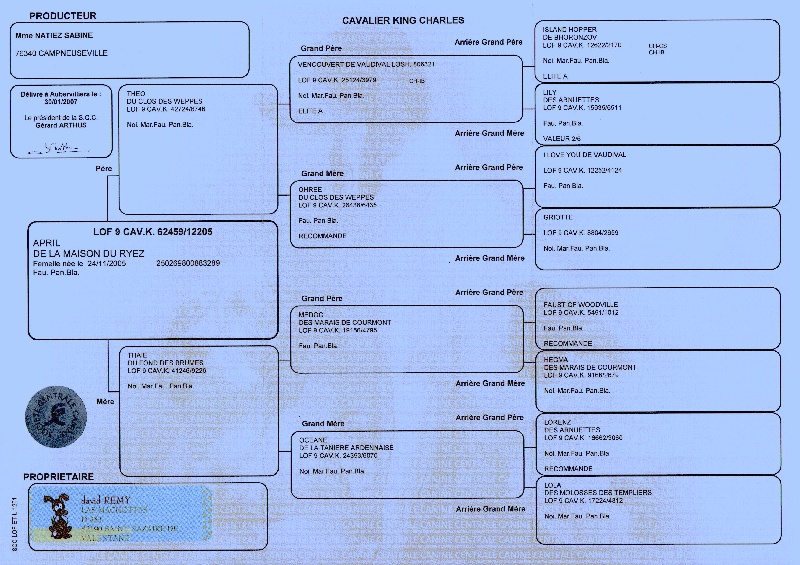 Publication : du domaine des quatre pattes