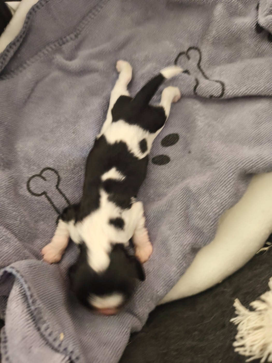 Bébé tri