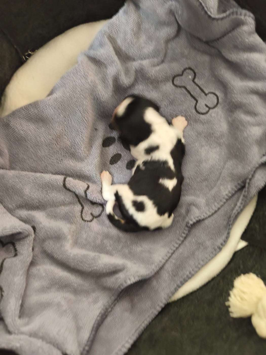Bébé tri