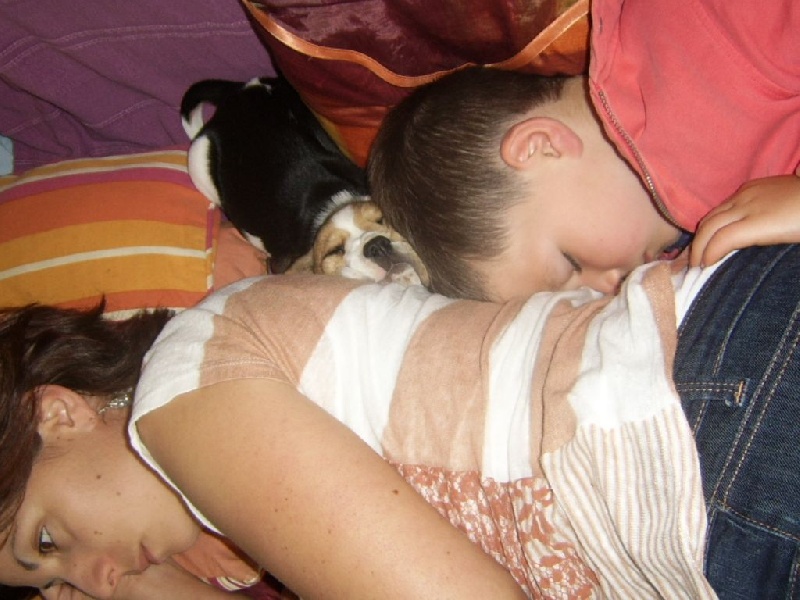 Publication : du minez guellec Auteur : DAGORNE