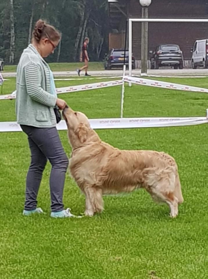 CH. Jch luc skywalker du Clos des Facons - 2 Excellent