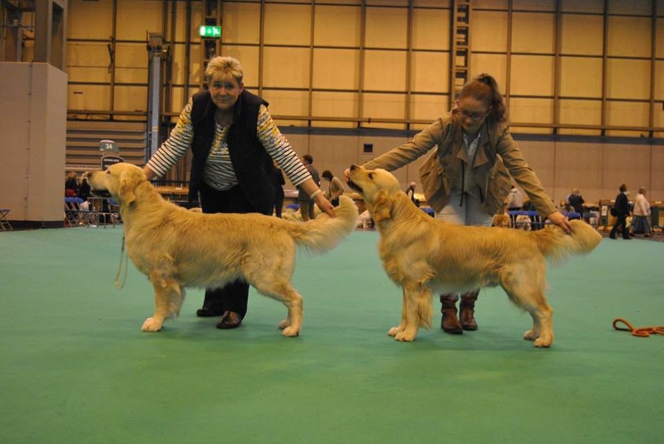 CH. Jch luc skywalker du Clos des Facons - non sélectionné