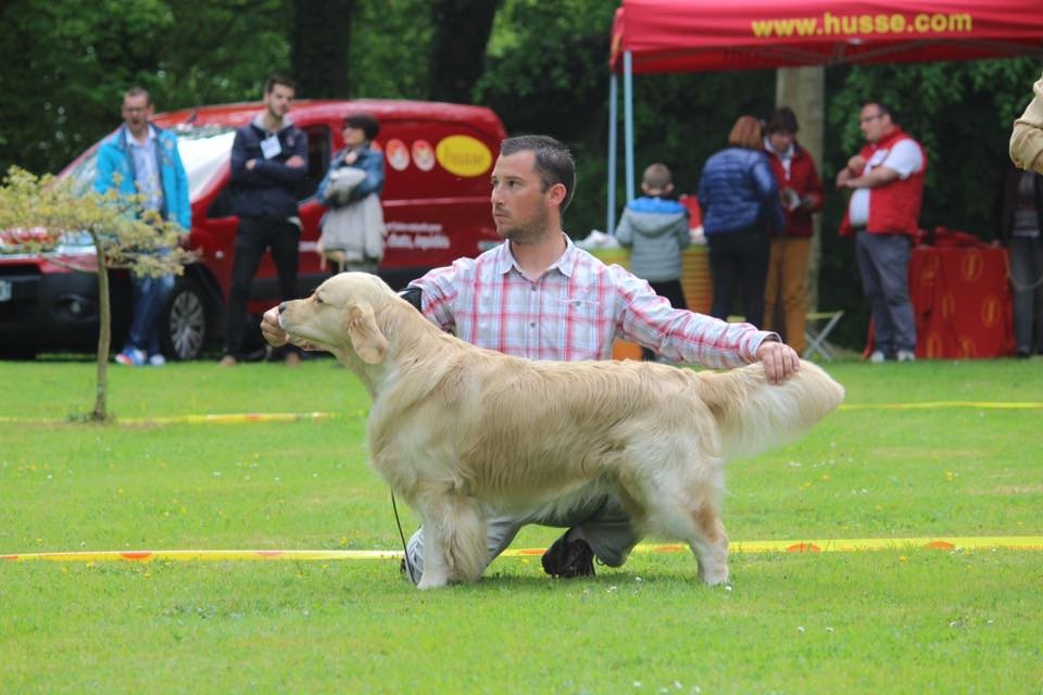 CH. Jch luc skywalker du Clos des Facons - 5 excellent