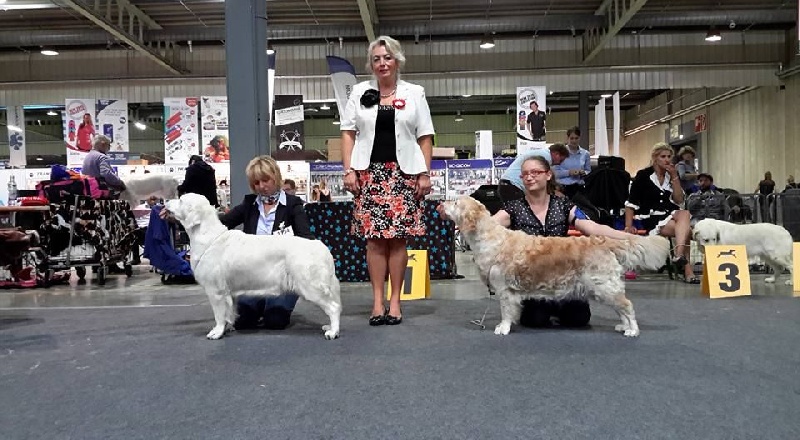 Ch veteran ghalia (Sans Affixe) - 2ème Excellent, RCACL Vétéran