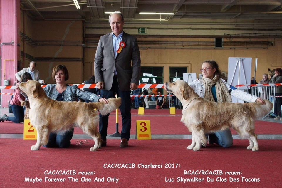 CH. Jch luc skywalker du Clos des Facons - 1 excellent Rcac rcacib