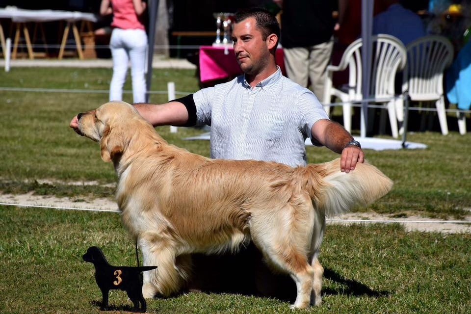 CH. Jch luc skywalker du Clos des Facons - 3 excellent