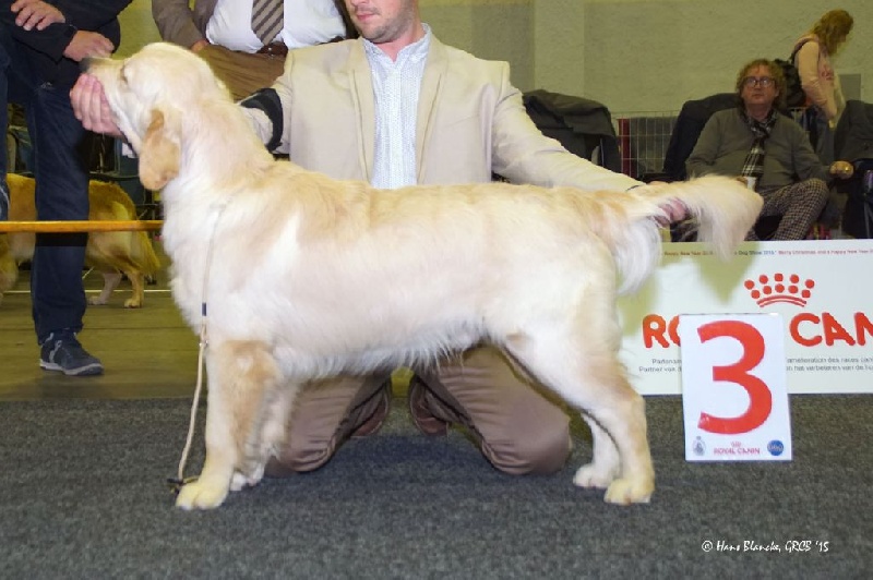 CH. Jch luc skywalker du Clos des Facons - 3 ème Très Prometteur, Puppy