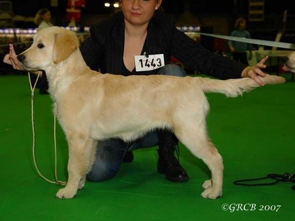 Ch veteran ghalia (Sans Affixe) - 4ème Très Prometteur